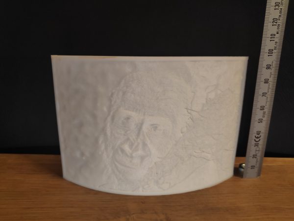 Persönliches 3D Lithophane