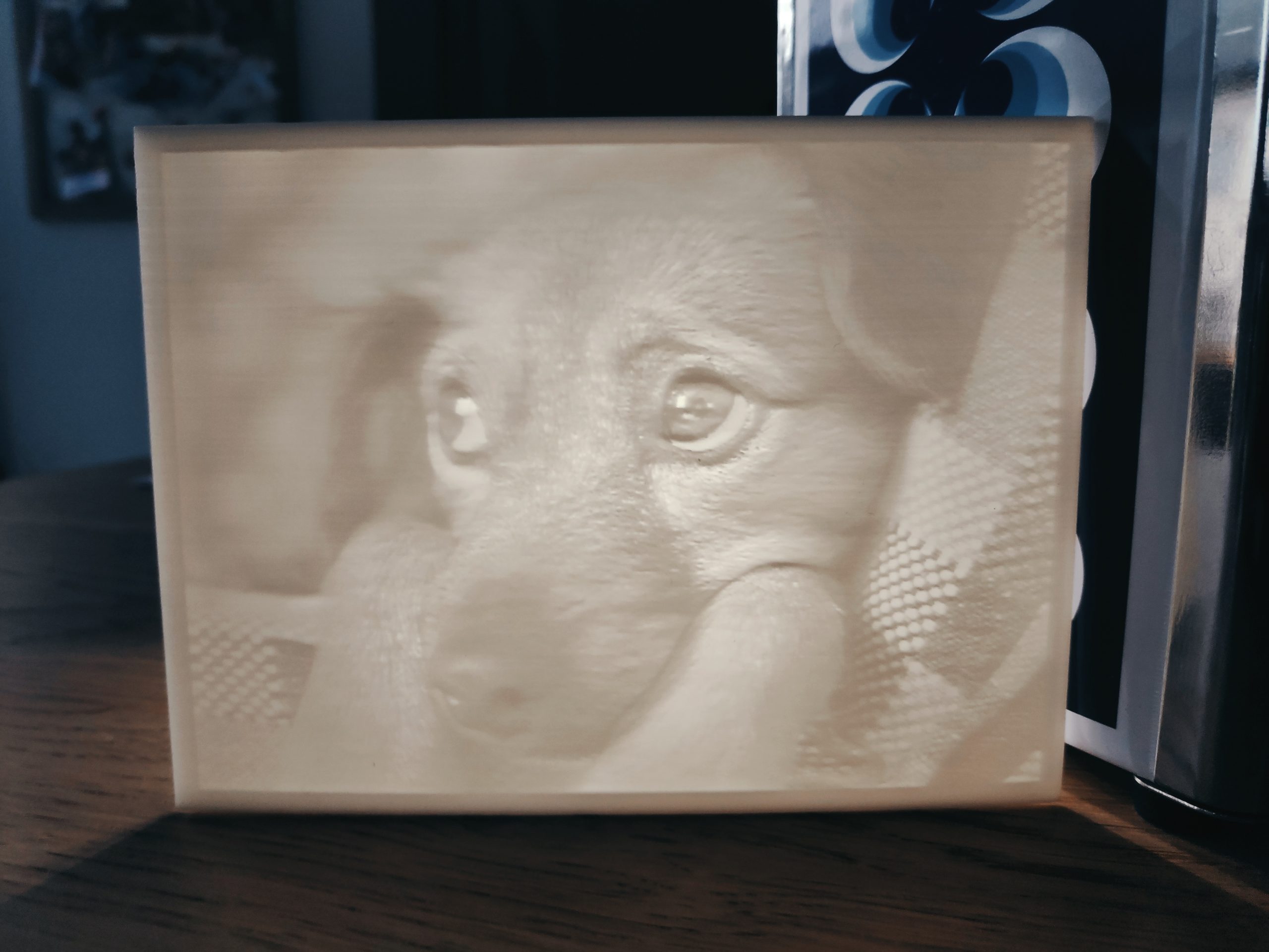 Hundebild 3D Lithophan