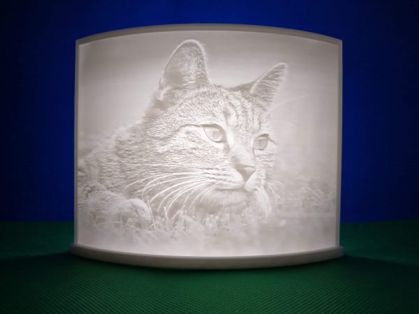 3D Bild Lithophane Halter Batterie